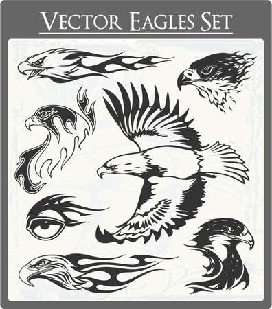 Eagle Vectors のイラスト素材