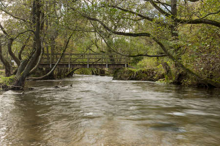 Wooden footbridge over the River Dove at Dovedale in the Peak District, taking in the autumn on 4th...