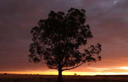 Sunset in Africaの写真素材