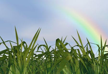 Long grass with a rainbowの写真素材