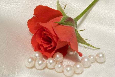 A macro of a tiny rosebud with scattered pearls, lying on white silkの写真素材