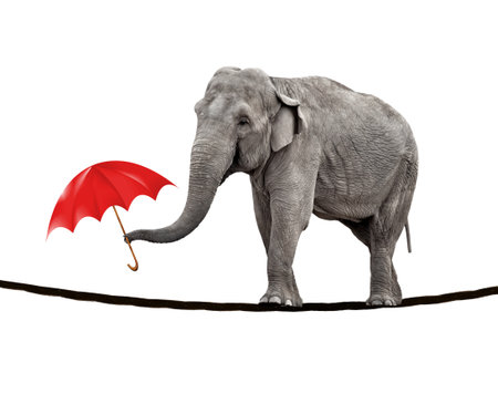 A young circus elephant walking on a tightrope and carrying a red umbrella.の写真素材