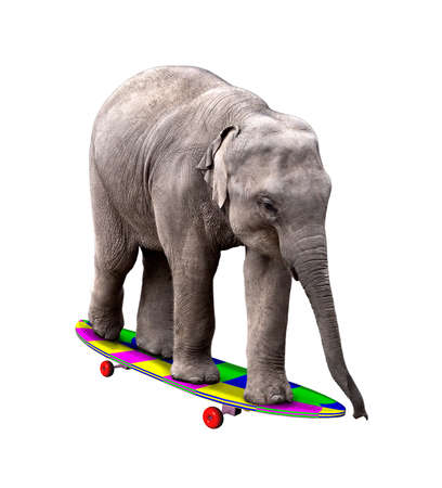 A baby elephant having fun on a brightly colored skatedboard. Isolated on white.の写真素材