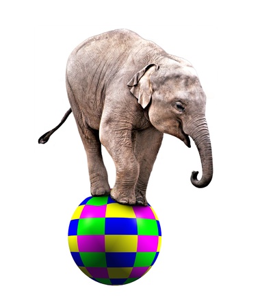 A Baby circus elephant balancing on a big ballの写真素材