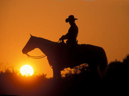 Cowboy Silhouetteの写真素材