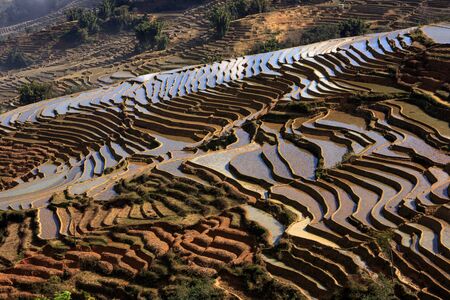 Irrigated Rice Terrace Fields in Yuanyang County - Yunnan Province, China. Water filled terraces, reflecting and absorbing the blue color of the sky. Bada Village scenic area terraces, sea of cloudsの写真素材