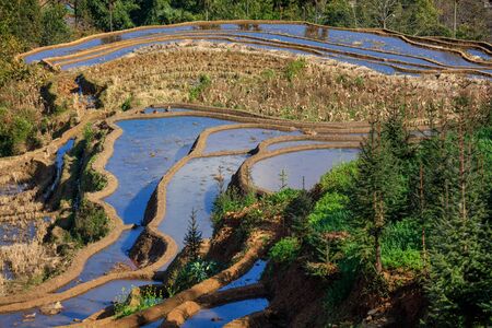 Honghe Yuanyang, Samaba Rice Terrace Fields - Baohua township, Yunnan Province China. Sama Dam Multi-Color Terraces - grass, mud construction layered terraces filled with water, blue sky reflectionの写真素材