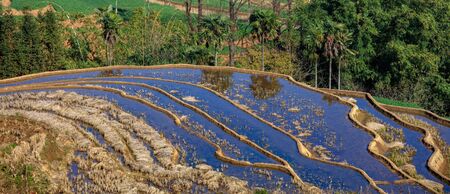 Honghe Yuanyang, Samaba Rice Terrace Fields - Baohua township, Yunnan Province China. Sama Dam Multi-Color Terraces - grass, mud construction layered terraces filled with water, blue sky reflectionの写真素材