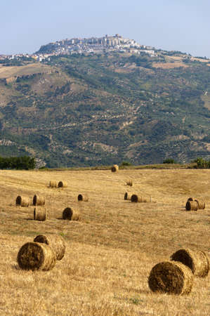Landscape in Basilicata (Italy) near Acerenza at summerの写真素材