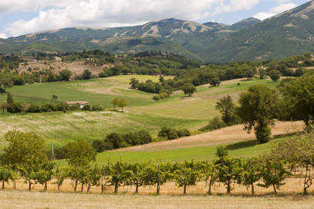 Landscape between Lazio and Umbria at summer