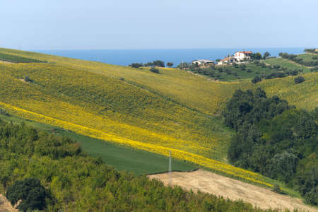 Atri Natural Park (Teramo, Abruzzi, Italy), landscape at summerの写真素材
