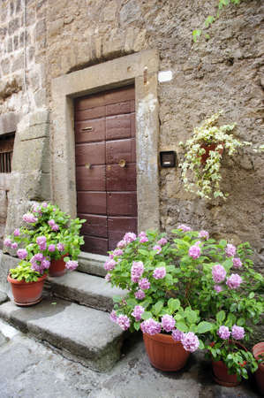 Vitorchiano (Viterbo, Lazio, Italy), old typical house with hydrangeas