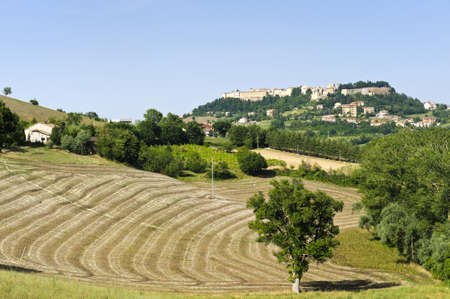 Panoramic view of Camerino (Macerata, Marches, Italy) at summerのeditorial素材