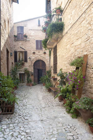 Spello (Perugia, Umbria, Italy), old typical street with potted plants and flowersのeditorial素材