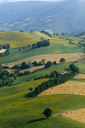 Panorama from Camerino (Macerata, Marches, Italy) at summerのeditorial素材
