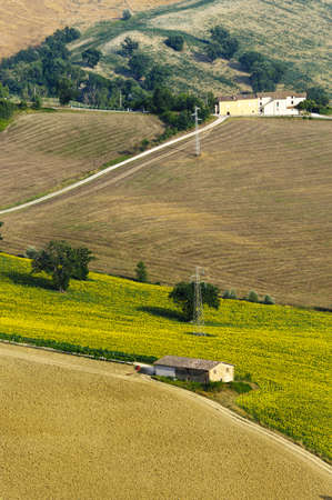 Panorama from Camerino (Macerata, Marches, Italy) at summer, farmのeditorial素材