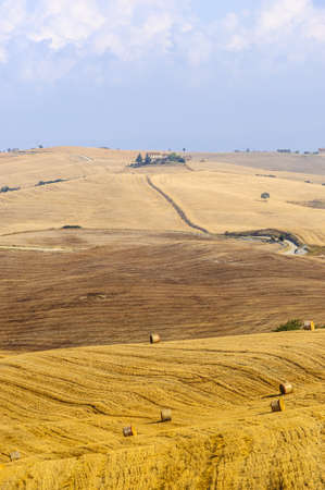 Typical landscape in Val d'Orcia (Siena, Tuscany, Italy) at summer. Old farmの写真素材