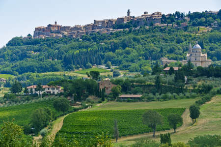 Montepulciano (Siena, Tuscany, Italy), landscape at summerの写真素材