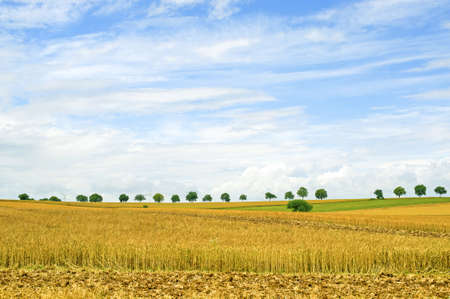 Countryside in Cote-d Or