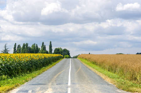 Countryside in Burgundy (Yonne, France) - Hay and sunflowersの写真素材