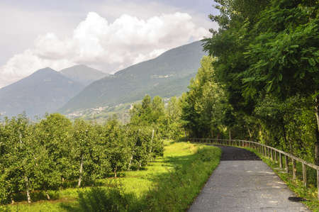 Cycle lane in Valtellina (Sondrio, Lombardy, Italy) at summerの写真素材