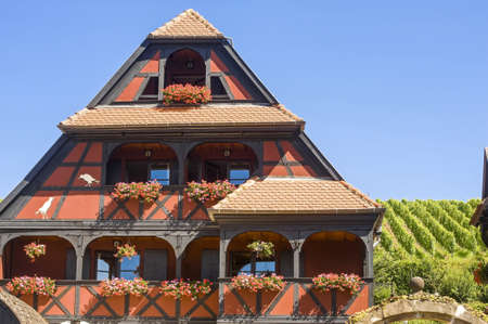 Itterswiller (Bas-Rhin, Alsace, France) red half-timbered house and vineyard at summerのeditorial素材