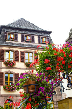 Bergheim (Bas-Rhin, Alsace, France) - Exterior of old house and red flowers in foregroundの写真素材