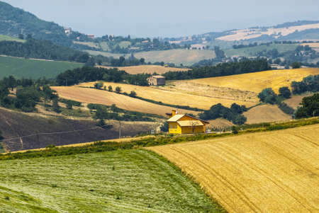 Marches  Italy  - Landscape at summer between Sassoferrato and Arceviaの写真素材