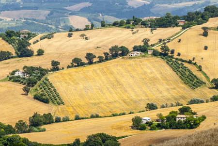 Marches (Italy) - Panoramic view near Arcevia at summer
