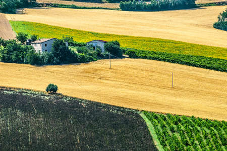 Marches  Italy  - Panoramic view near Arcevia at summerの写真素材