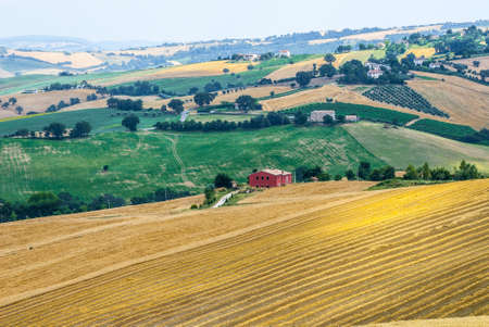 Marches  Italy  - Panoramic view near Arcevia at summer