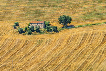 Region between Montecassiano and Montefano, near Macerata (Marches, Italy) - Landscape at summerの写真素材