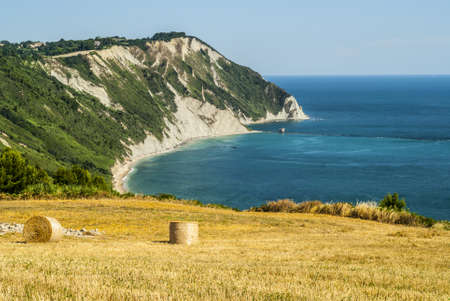 Conero (Ancona, Marches, Italy) - Cultivated coast: wheat field with bales over the Adriatico seaの写真素材