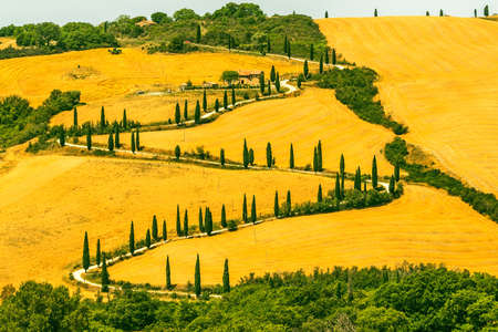 Landscape in Val d'Orcia (Siena, Tuscany, Italy) at summerの写真素材