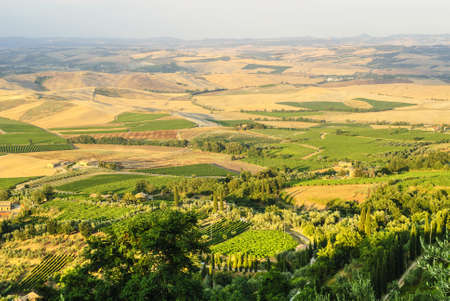 Panoramic view from Montalcino (Siena, Tuscany, Italy) in a summer eveningの写真素材