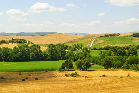Farms in Tuscany (Italy) near Siena, at summerの写真素材