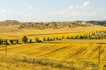 Crete senesi, characteristic landscape in Val d'Orcia (Siena, Tuscany, Italy). Typical farmの写真素材
