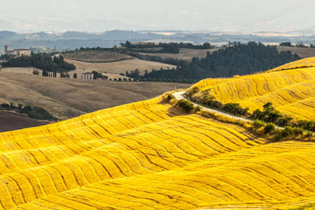 Crete senesi, characteristic landscape in Val d'Orcia (Siena, Tuscany, Italy)の写真素材