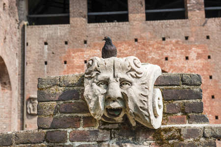 Milan (Italy) - Castello Sforzesco, ruins and pigeonの写真素材