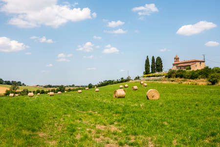 Countryside near Albi (Tarn, Midi-Pyrenees, France), at summerの写真素材