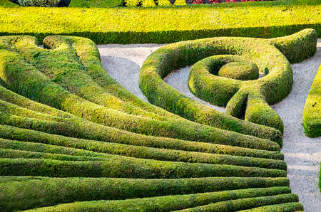 Albi (Tarn, Midi-Pyrenees, France) - Gardens of the historic Palais de la Berbieのeditorial素材
