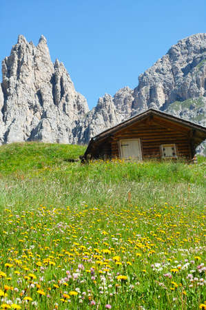 Passo Gardena (Dolomites, Belluno, Veneto, Italy), mountain landscape at summerのeditorial素材