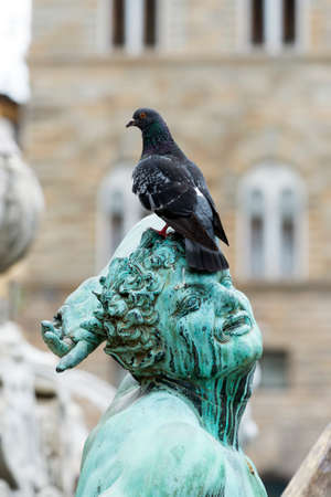Florence (Firenze, Tuscany, Italy): medieval buildings in Piazza della Signoria, and the Neptune's Fountainの写真素材