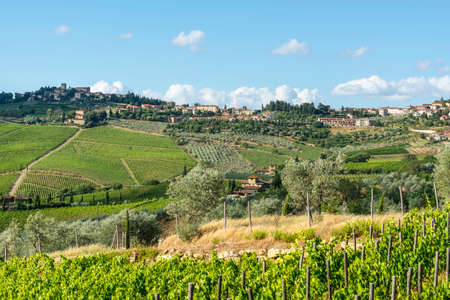 Landscape in Chianti (Florence, Tuscany, Italy) with vineyards at summerの写真素材