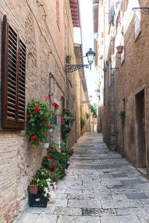 Colle di Val d'Elsa (Siena, Tuscany, Italy), historic city. Old houses with potted plants and flowersの写真素材