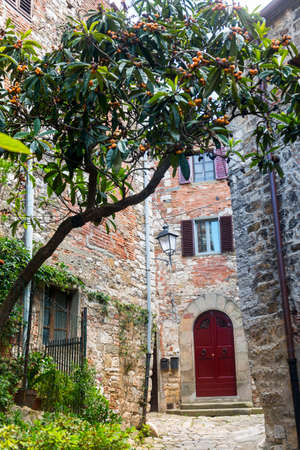Montefioralle (Greve in Chianti, Florence, Tuscany, Italy): medieval villageの写真素材