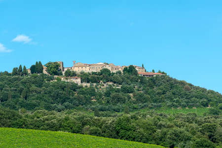 Montalcino (Siena, Tuscany, Italy): country landscape at summerの写真素材