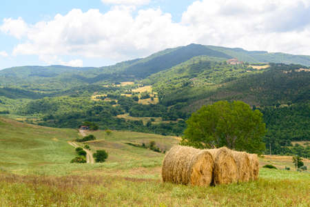 Country landscape in Maremma (Tuscany, Italy) at summerの写真素材