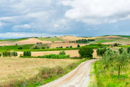 Montalcino (Siena, Tuscany, Italy): country landscape at summerの写真素材