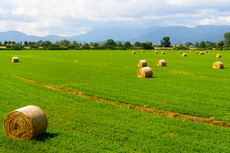 Country landscape near Rieti (Lazio, Italy) at summer: Green field with balesの写真素材